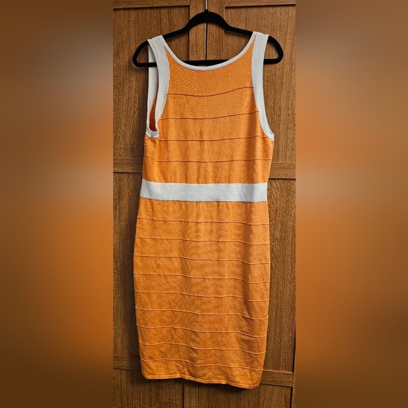 Ashley Stewart Color Block Stretch Sleeveless Bodycon Dress Plus Size 1X - Picture 2 of 3